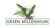 Green Millennium