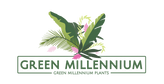 Green Millennium 